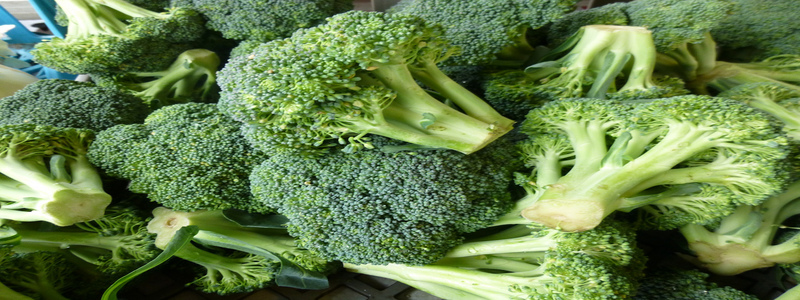 brocoli-parmi-les-aliments-naturels-qui-boostent-le-taux-de-testosterone
