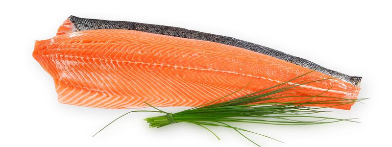 saumon-exemple-d-aliment-de-jimmy-body