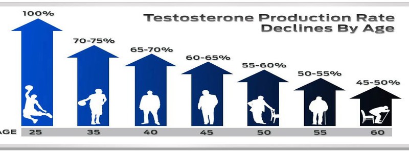 equilibre-hormonal-et-variation-du-taux-de-testosterone-chez-l-homme-a-travers-l-age